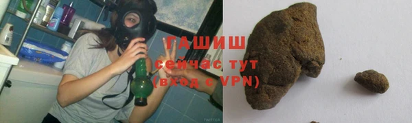 мдпв Богородск