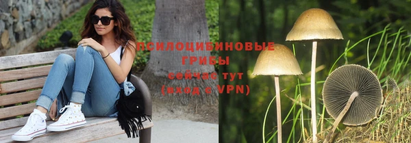 мдпв Богородск