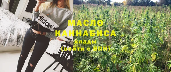 мдпв Богородск